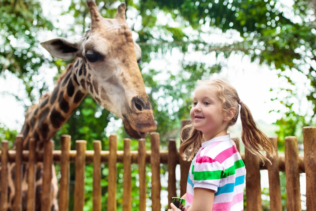 Die besten Zoos & Tierparks in Deutschland