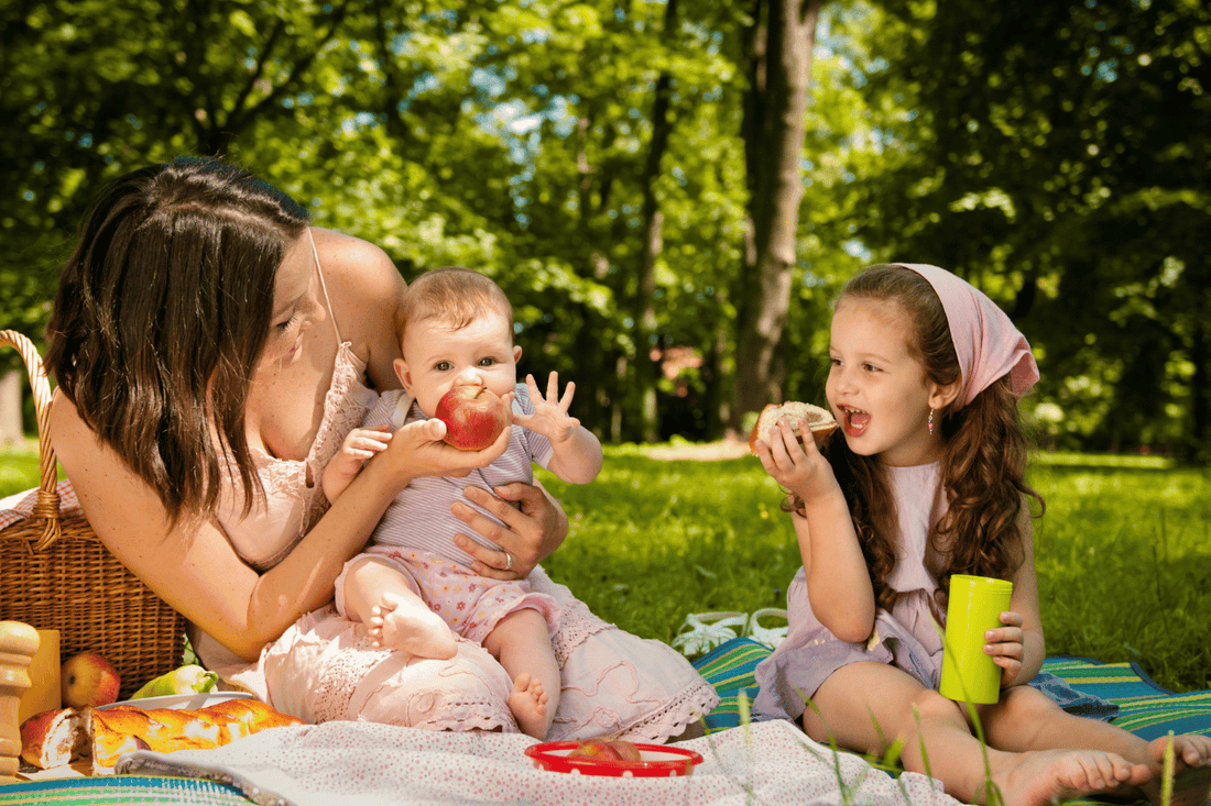 Die schönsten Picknickplätze in Deutschland für Familien