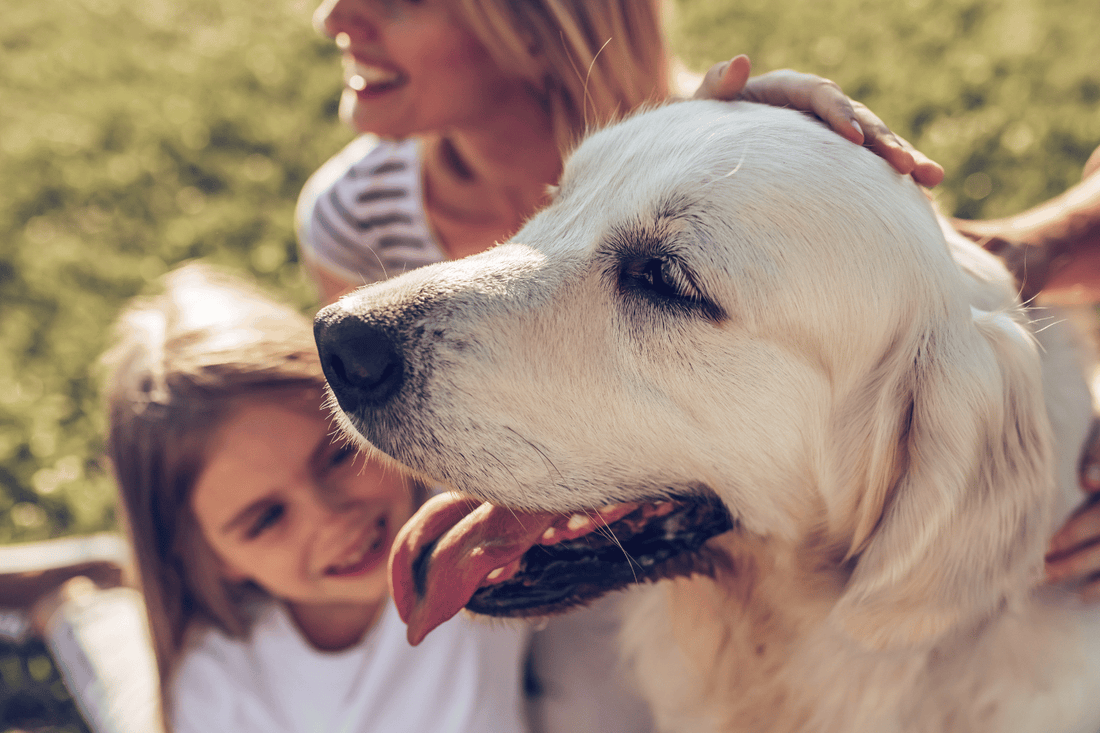 Reisen mit Kindern und Hund