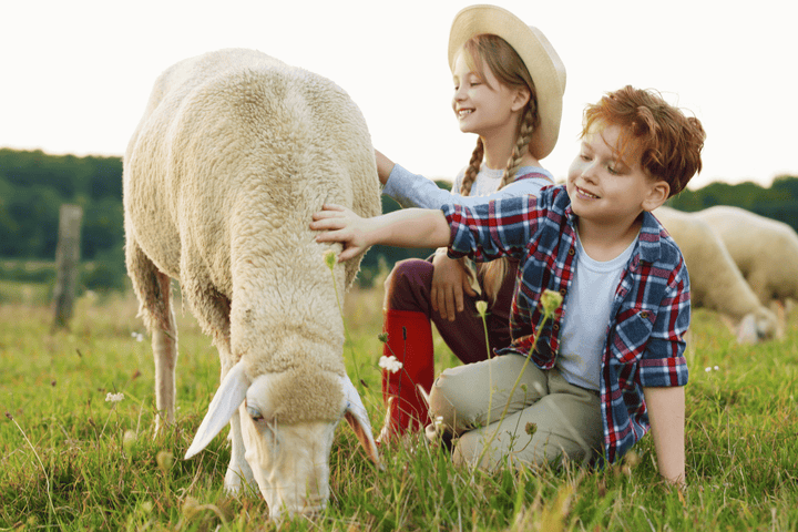 Urlaub auf dem Bauernhof