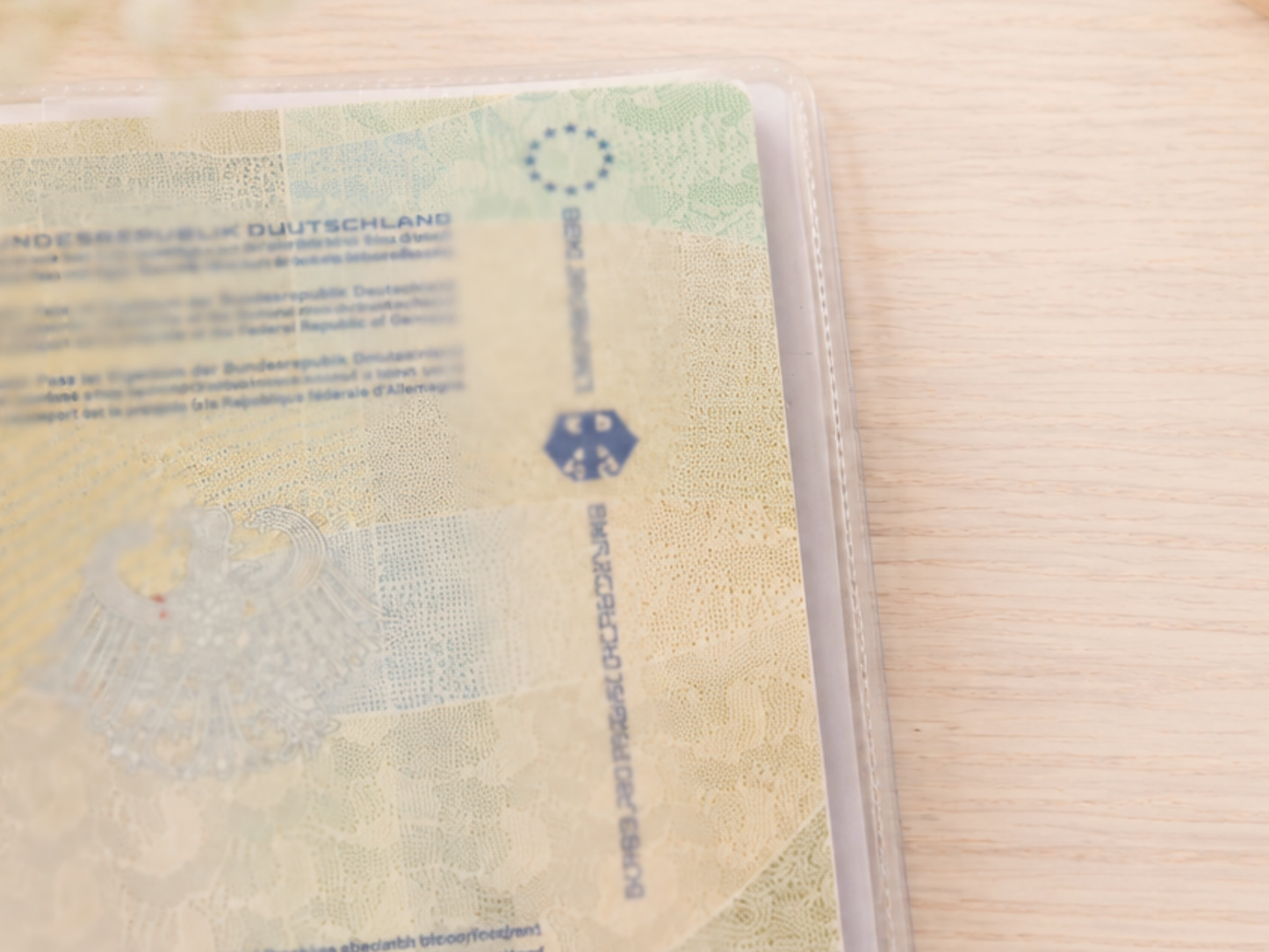 Personalisierte Reisepasshülle "Regenbogen"